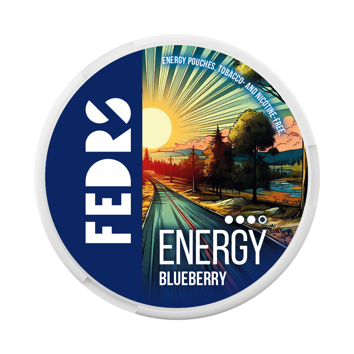 FEDRS Energy Blueberry VITAMIN