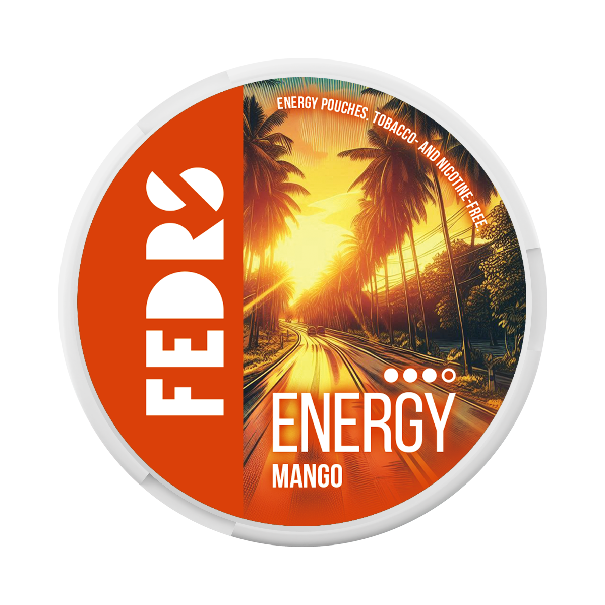 FEDRS Energy Mango VITAMIN