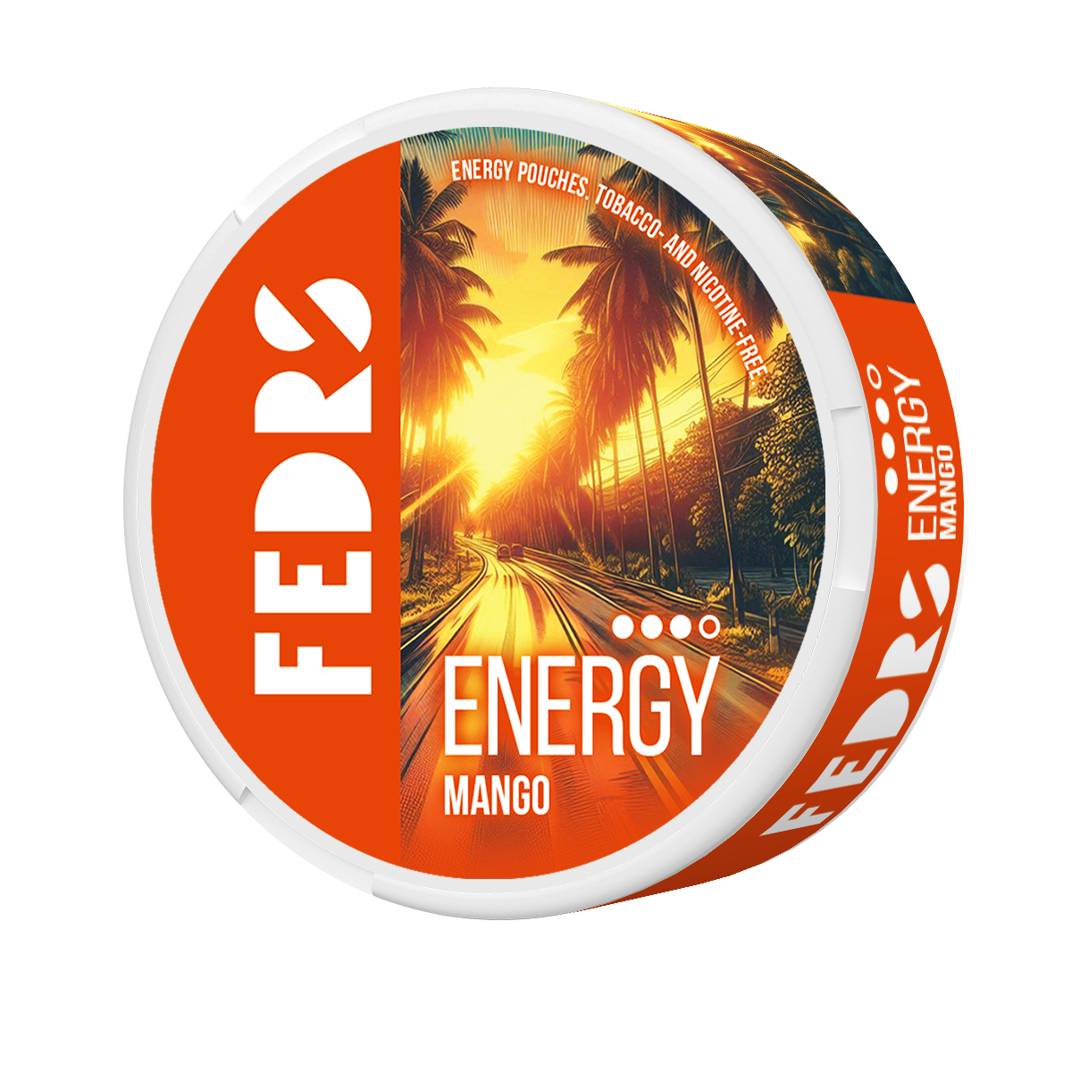 FEDRS Energy Mango VITAMIN
